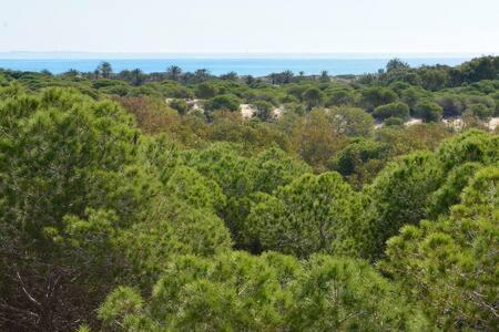 גוארדמר דל סגורה Casa Felipa, Una Estancia Unica En La Costa Blanca מראה חיצוני תמונה